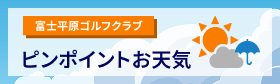 ピンポイントお天気